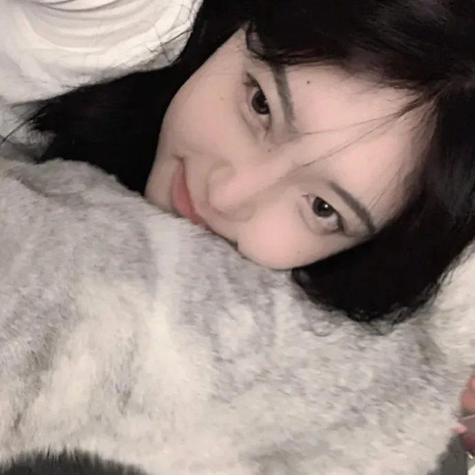 如果我是间谍 封面